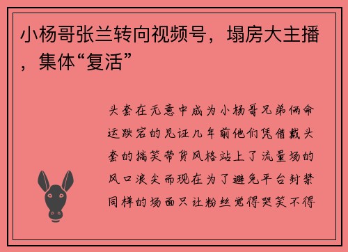 小杨哥张兰转向视频号，塌房大主播，集体“复活”