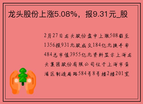 龙头股份上涨5.08%，报9.31元_股