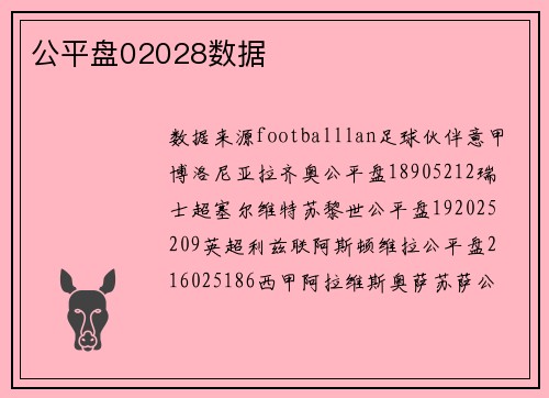 公平盘02028数据
