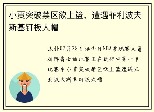 小贾突破禁区欲上篮，遭遇菲利波夫斯基钉板大帽